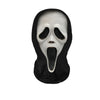 Halloween Ghost Face Mask